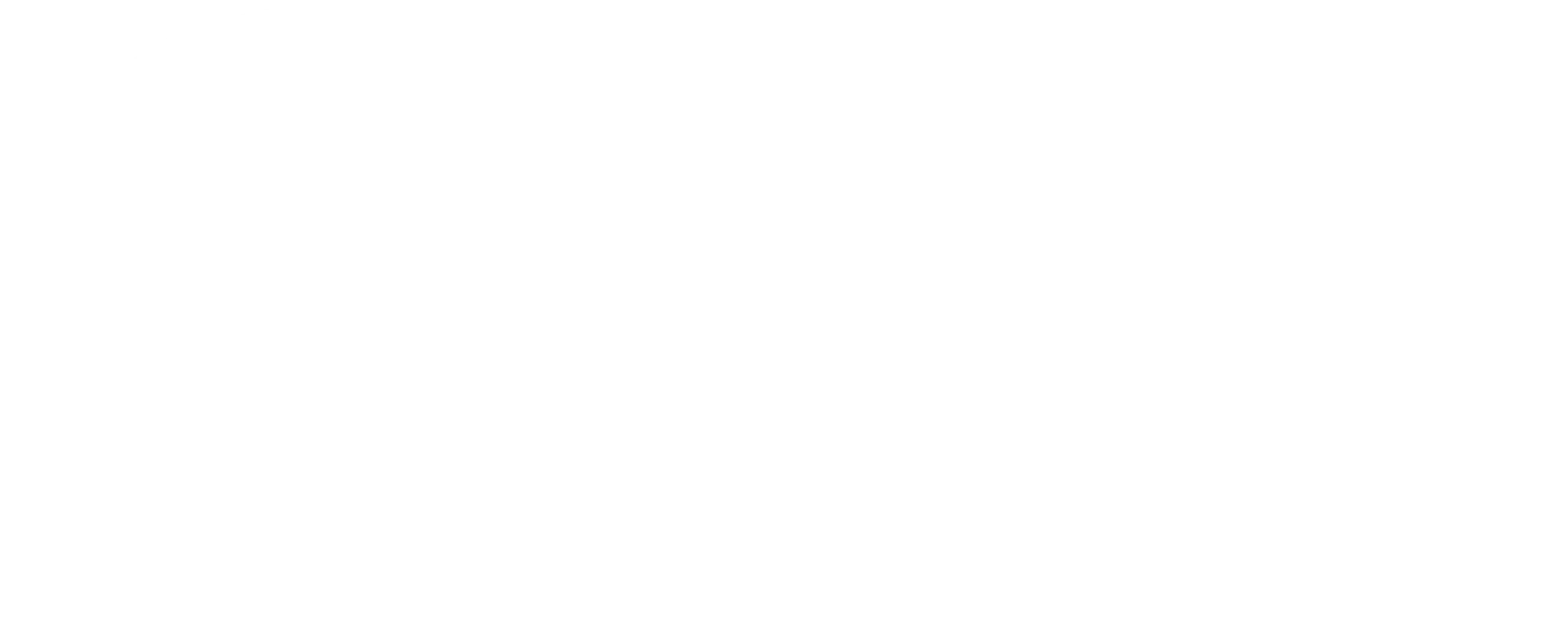 Logotipo da UNEI – União Negra